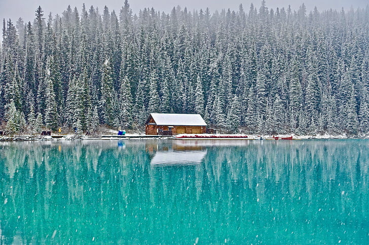 kabina, Lake louise, Kanada, Les, venkovní, malebný, Divočina