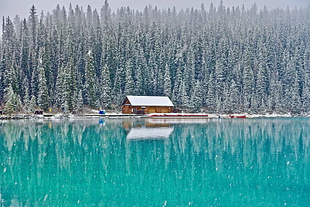 cabine, Lake louise, Canada, bos, buiten, schilderachtige, wildernis