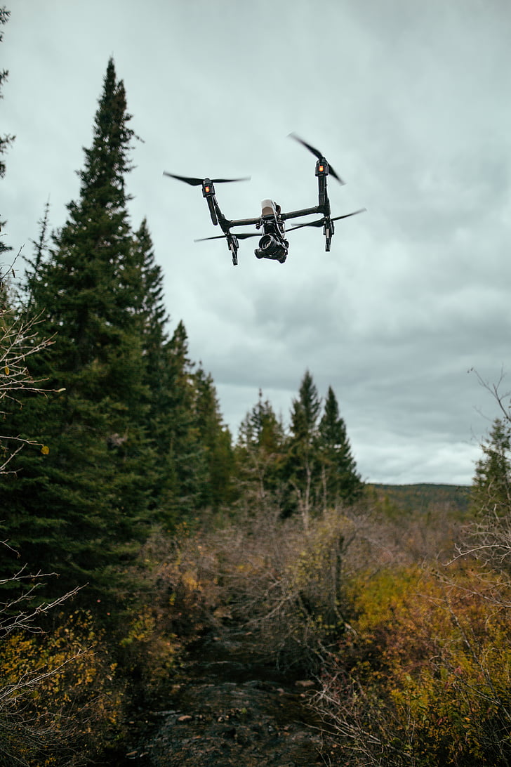 black, quad, drone, forest, tree, flying, mid-air
