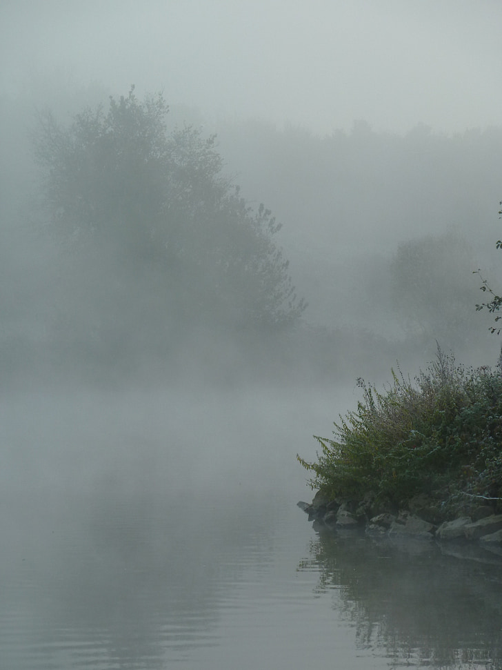 rūkas, upės, paslaptingas, rudenį, nuotaika, vaizdingas, vandens atspindys