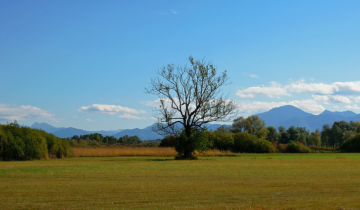 paisaje, Chiemsee, Baviera superior, árbol, montañas, Prado, distante