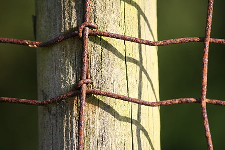 Pole, træ, Wire, hegnet, slidt, rusten, alderen