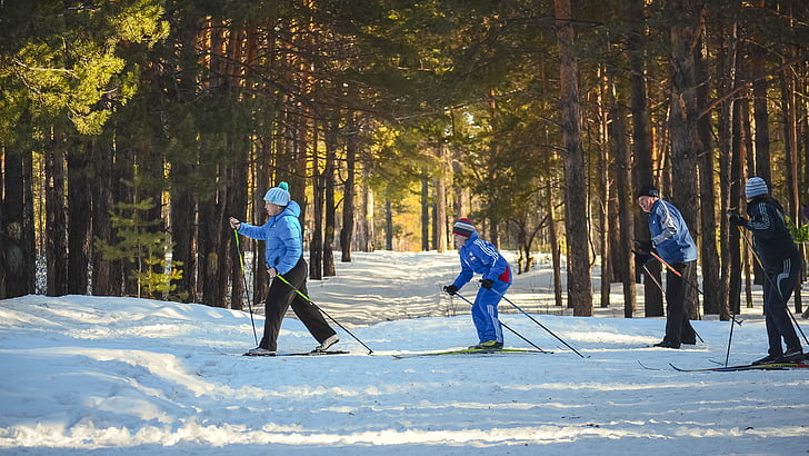 fred, fresc, bosc, persones, esquiador, esquí, neu
