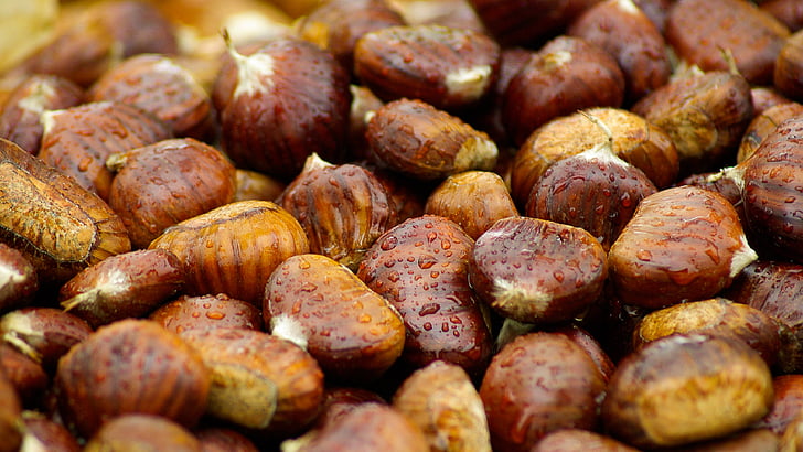 chestnuts, fall, brown, raindrops, food and drink, food, large group of objects