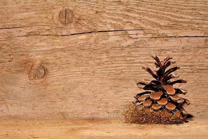 pine cones, wood, background, christmas, wood - Material, decoration, winter