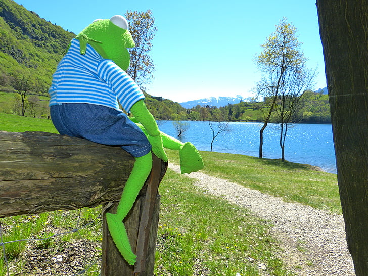 Tenno jezero, Kermit, žaba, Lago di tenno, Italija, stran, gore