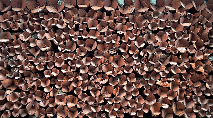 дървен материал, модел, Ладакх, Индия, точка, цветя, посочи