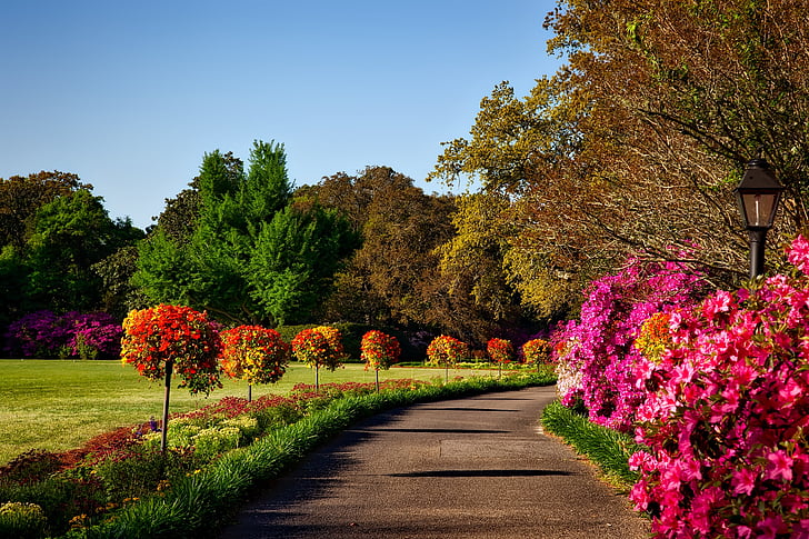 Bellingrath tuinen, Alabama, landschap, schilderachtige, natuur, buiten, buitenshuis