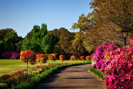Bellingrathnão jardins, Alabama, paisagem, cênica, natureza, do lado de fora, ao ar livre