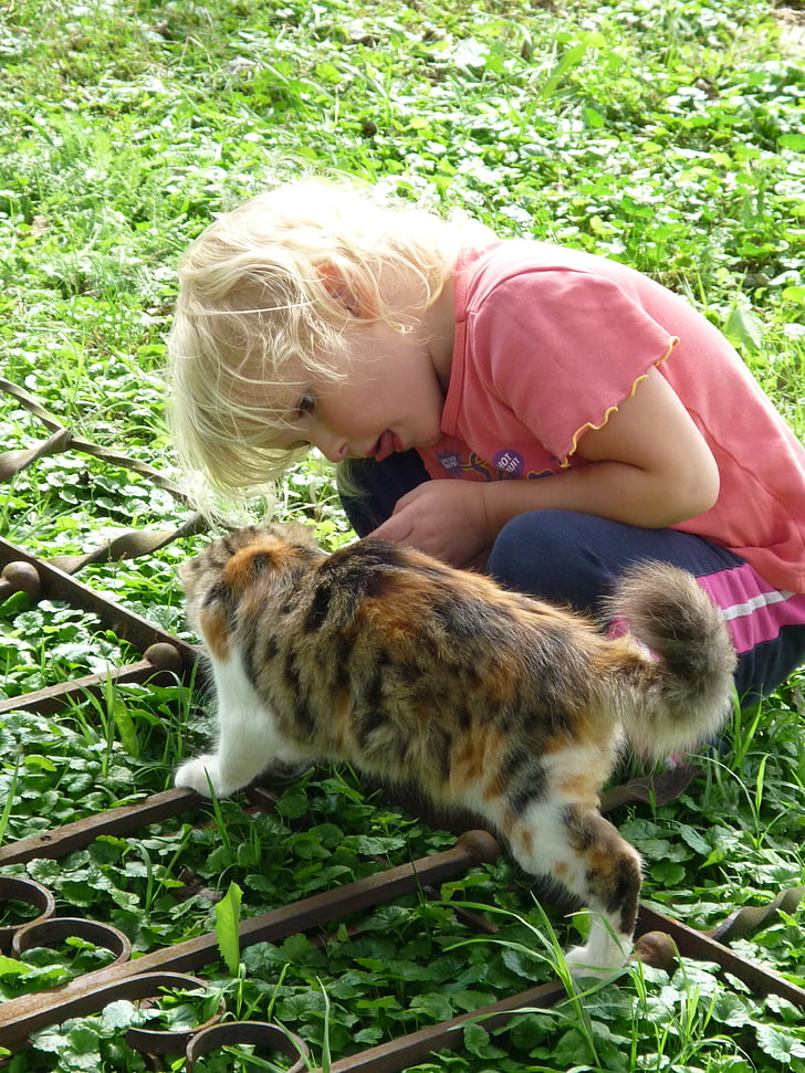 Dziewczyna, Kot, zwierzętom, życia na wsi, udar mózgu, futro, radość
