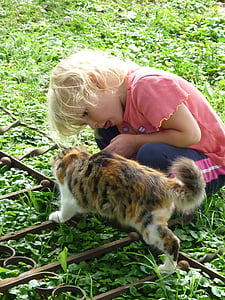 jeune fille, chat, animal de compagnie, vie à la campagne, accident vasculaire cérébral, fourrure, joie