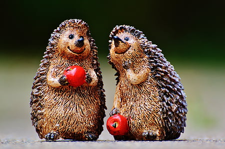 hedgehog, figures, funny, cute, sweet, pair, apple
