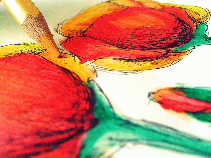 ritning, konst, blommor, Pencil, färger, färg, målad bild