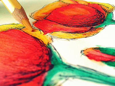 drawing, art, flowers, pencil, colors, paint, painted Image