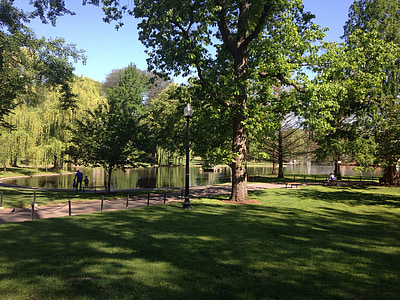 Парк, Бостон, озеро, на открытом воздухе, деревья, пруд, Природа