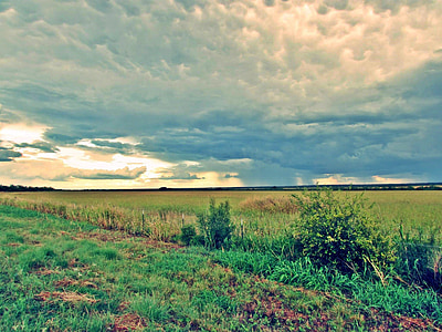 texas, sky, storm, clouds, field
