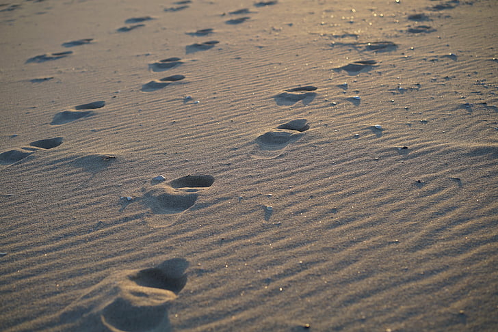 beach, sea, footprint, sand, winter sea, sandy, gangwon do