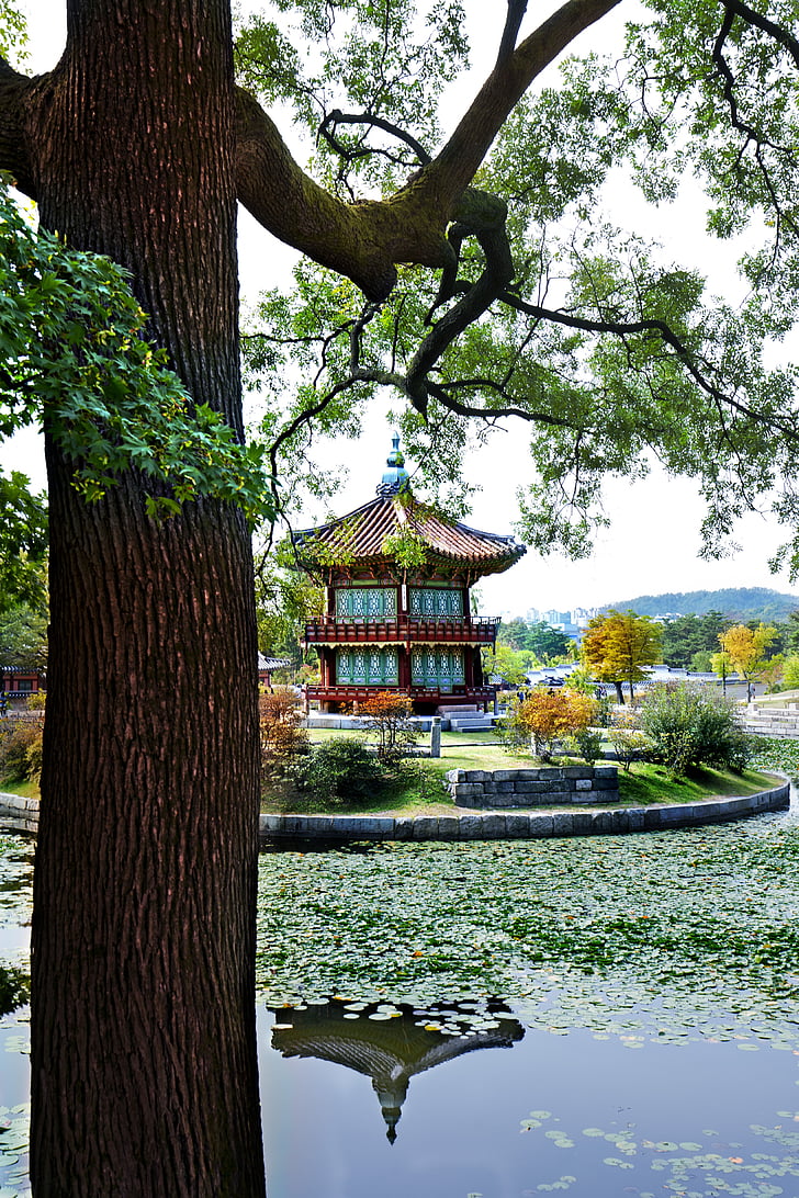 Tempel, Südkorea, Joseon, Asien, Architektur, Landschaft, Palast
