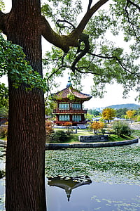 Temple, Sydkorea, Joseon, Asien, arkitektur, landskab, Palace