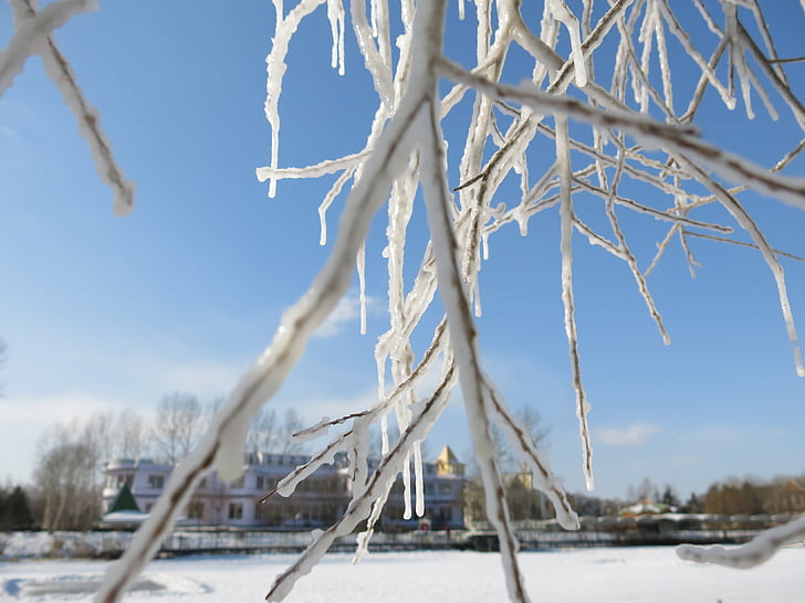 snö och is, hängande träd, blå himmel