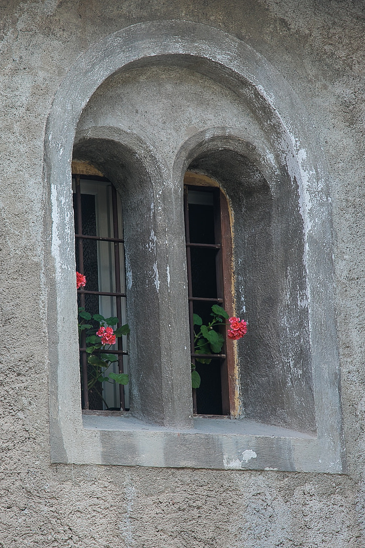 fenêtre de, fleur, Weathered, hauswand