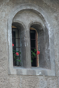 παράθυρο, λουλούδι, ξεπερασμένο, Hauswand