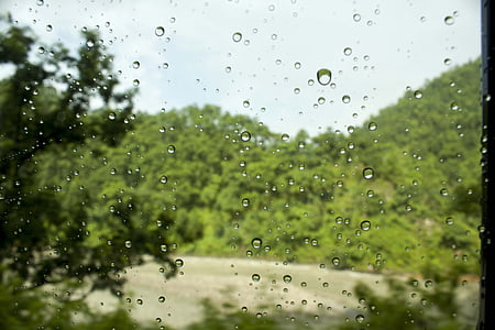 작은 물방울, 물, 잎, 창, 작은 물방울, 자연