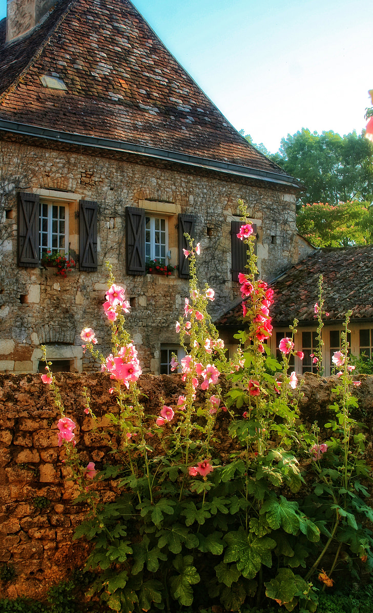 France, Dordogne, Périgord, maison, pierres, rose trémière