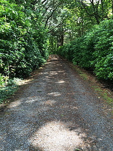 road, tunnel, path, bushes, outdoor, perspective, forest