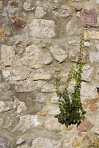 Natursteinmauer, Ziegelmauer, Ziegel, Sand Stein, Wand, Naturstein, Textur