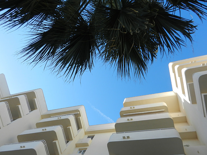 hotel complex, hotel, palm trees, homes, sky, building, architecture