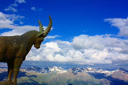 ibex, 金属, 阿尔卑斯山, 瑞士, 瑞士, 景观, 自然