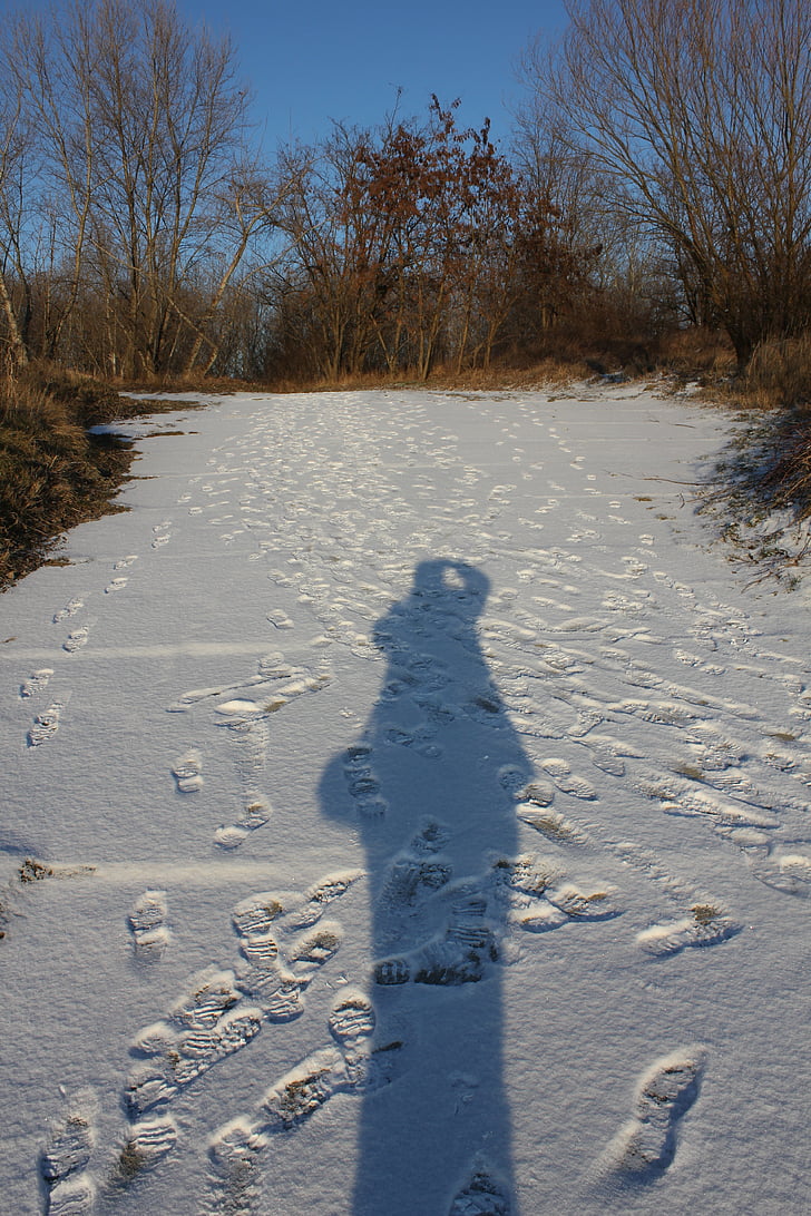 Schatten, Silhouette, Schnee, eine, Track, Titel, Sonne