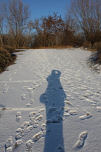 shadow, silhouette, snow, one, track, tracks, sun