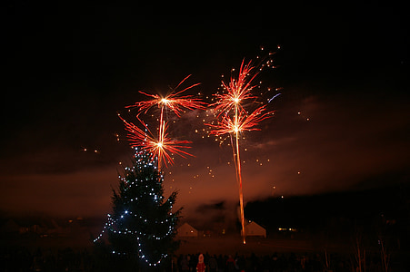 fuegos artificiales, noche, Abeto, Navidad, decoración de la Navidad, invierno, Festival