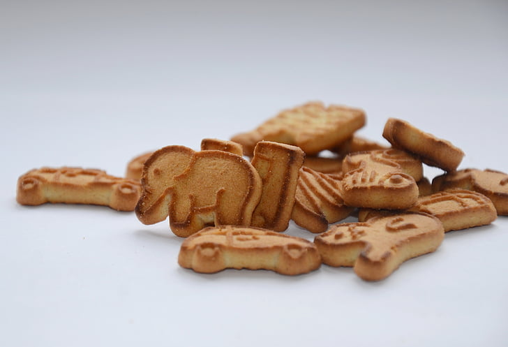 cookie, Gajah, Sarapan, untuk anak-anak, anak-anak, makanan penutup, cookie