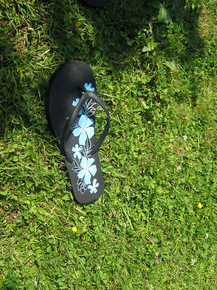Meadow, flip flops, Đánh giày, mùa hè, bàn chân, sandal, cỏ