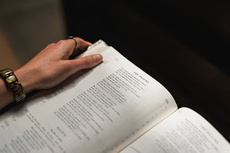 Bibelen, bok, hånd, sider, lesing, menneskelige hånden, menneskekroppen del