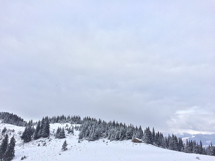 Landschaft, Winter, Schnee, Himmel, Berg, Natur, Bäume