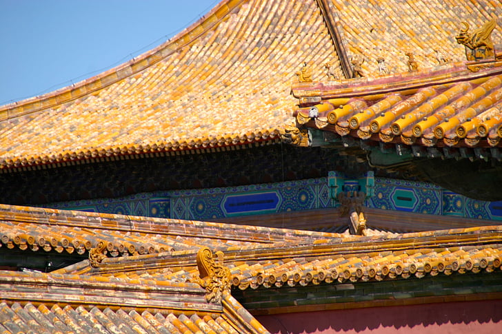 techo, China, Dragón, ciudad prohibida, arquitectura, Beijing, Palacio