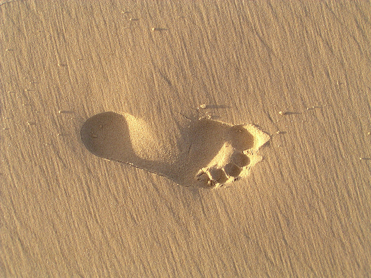 отпечатък, пясък, плаж, бос, крак, крачка, човешки
