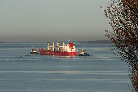 Odense fjord, skib, bulkcarrier, slæbebåd, Maritim, navigation, Fragt