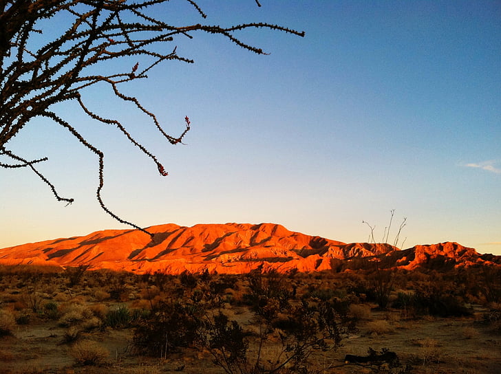 desierto, salida del sol, cielo de amanecer, paisaje desértico, cactus, paisaje de amanecer, Scenic