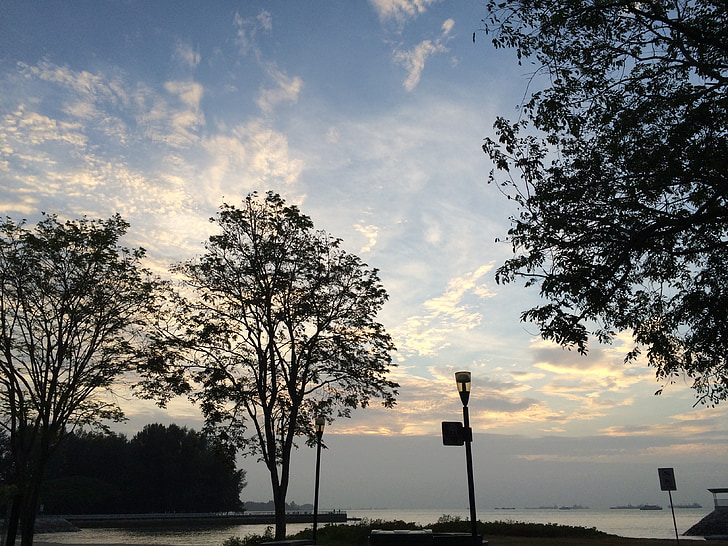 niebo, Plaża, drzewa, parku East coast, Singapur, Wschód słońca, morze