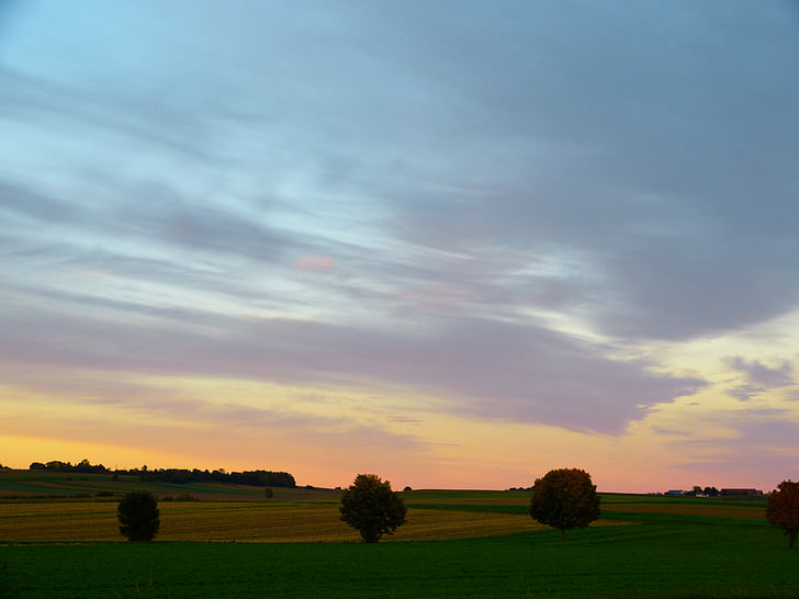 landscape, abendstimmug, sunset, sky, evening sky, trees, clouds