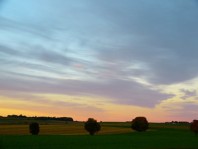 landskapet, abendstimmug, solnedgang, himmelen, kveldshimmelen, trær, skyer