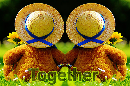 look together into the future, together, bear, bears, connected, togetherness, pair
