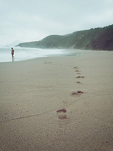 ο άνθρωπος, το περπάτημα, στη θάλασσα, πλευρά, της ημέρας, παραλία, γυμνός άνδρας