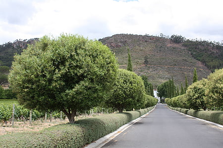 Dél-Afrika, Pincészet, Grande provence, Wine estate grande provence, Winelands, impozáns, turizmus