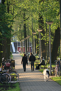 weesperzijde, Amsterdam, drumeţii, copaci, verde, Olanda